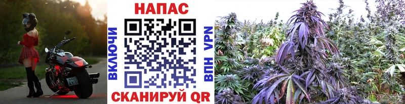 Бошки Шишки White Widow  Мегион 